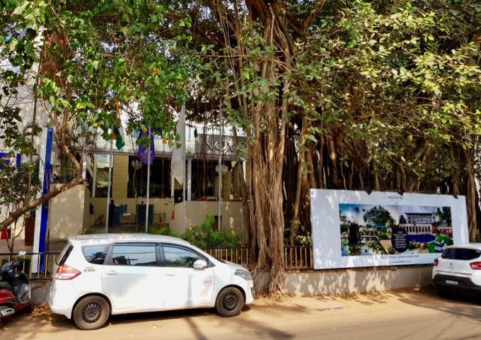 The hotel is located in Candolim, behind a massive banyan tree.