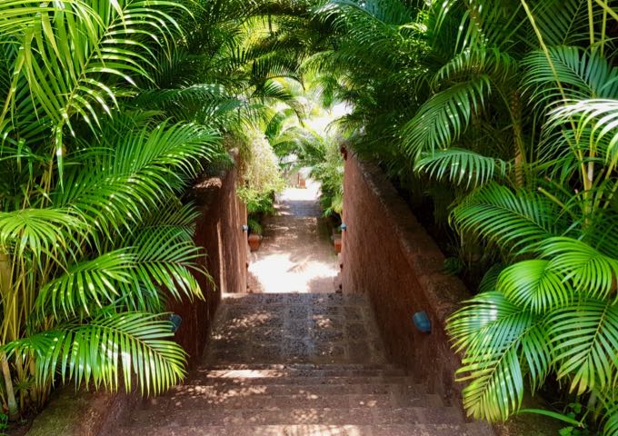 The resort has a lush, jungle-like setting.