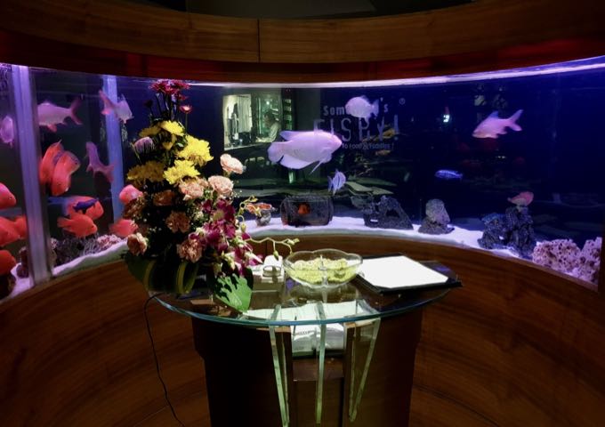 Aquarium at Somethings Fishy Restaurant.