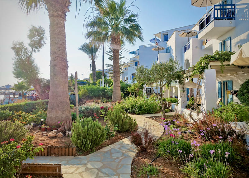 Stone path through palm trees and mediterranean plants.