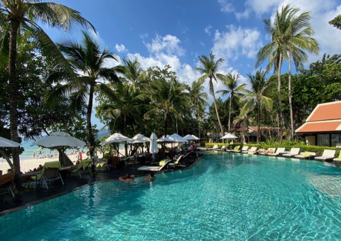 Swimming pool lined with palm trees and lounge chairs