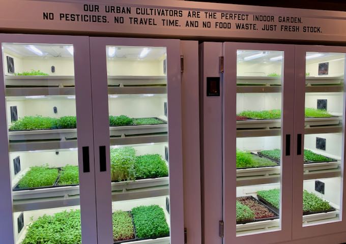 It grows organic herbs for use in all the hotel kitchens.