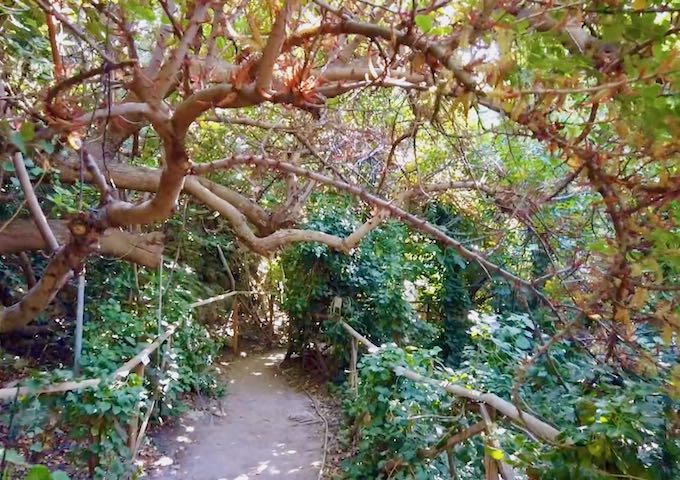 A path in Butterflies Valley in Paros