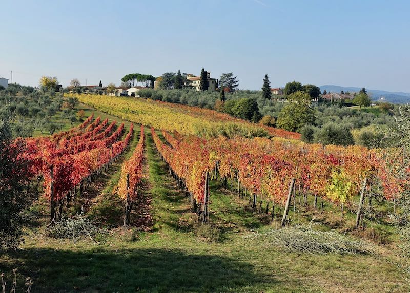 Wine Country in Tuscany near Florence