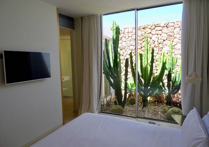 One of the suites has a patio with cacti.