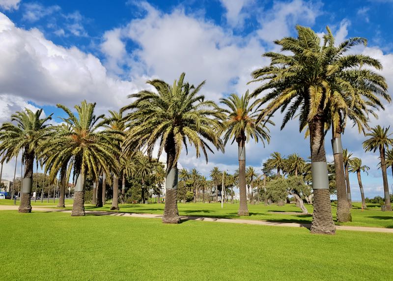 Nearby are gardens with lots of palms.