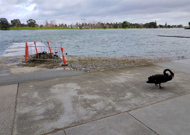 The lake is very popular with locals.