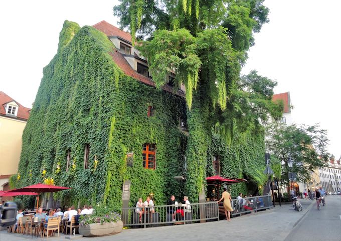 Restaurant Pfistermühle is in a wine-covered building.