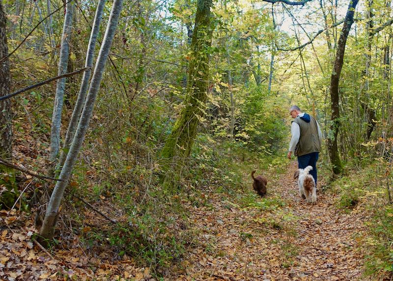 Truffle hunting with Giulio and his dogs in Florence, Italy
