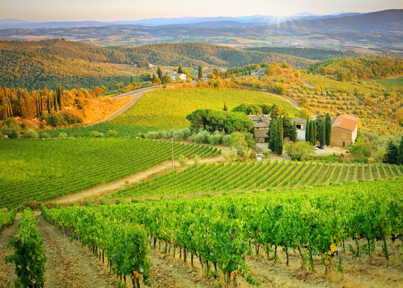 Rudenį riedančios Toskanos kalvos ir vynuogynai