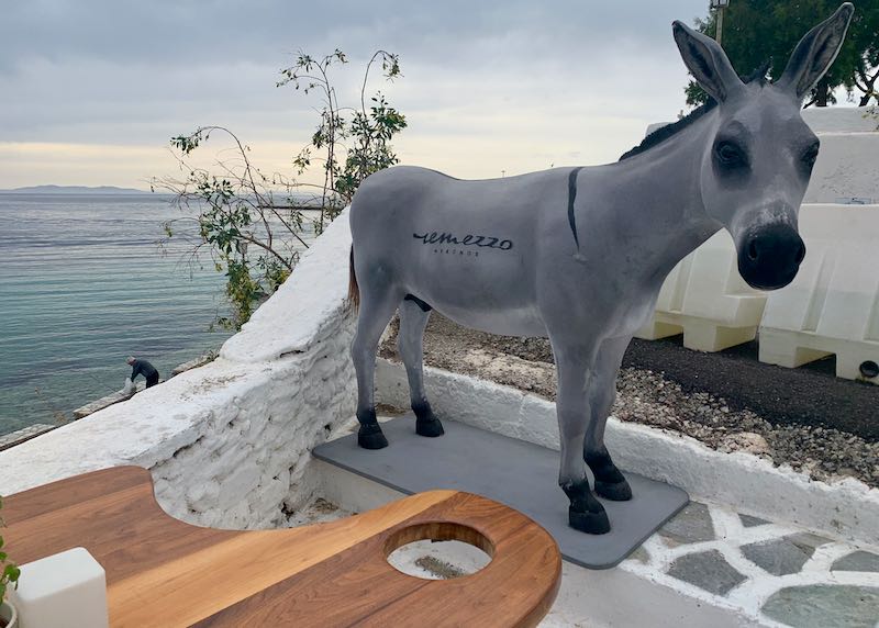 donkey on patio