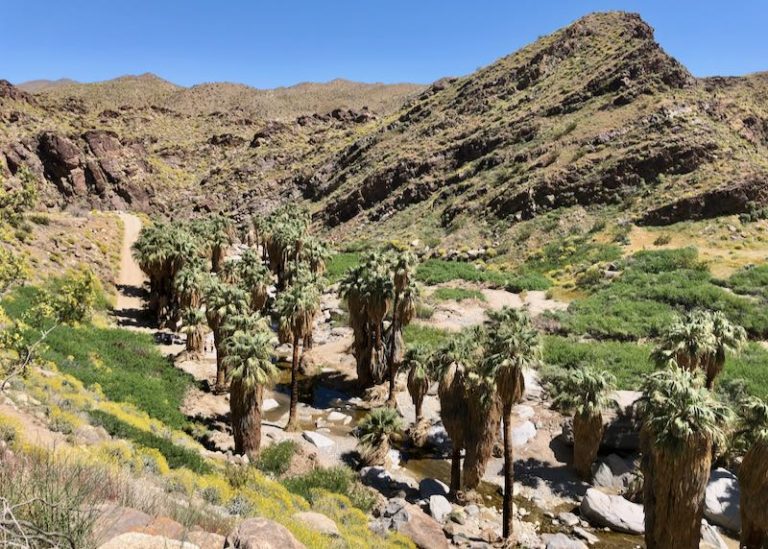 WHERE TO STAY in PALM SPRINGS Downtown, Palm Desert, & Rancho Mirage