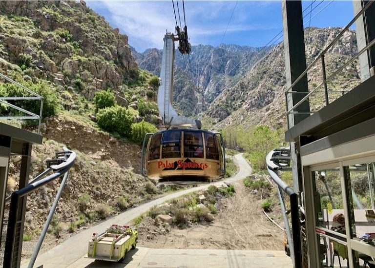 Where to Stay in Palm Springs My favorite areas & places