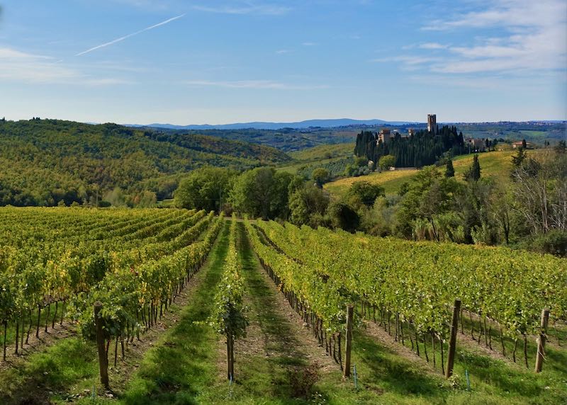 Vineyards in the Tuscany countryside