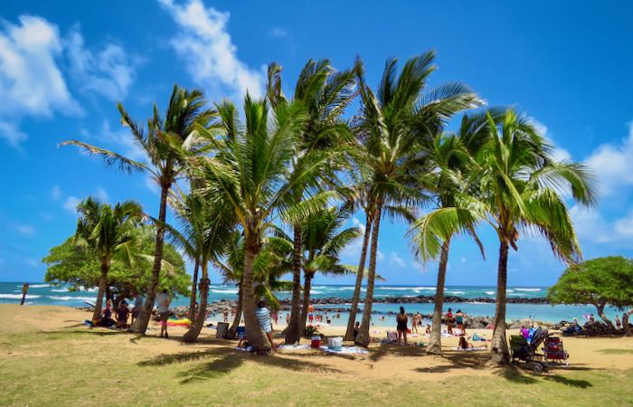 Best kid-friendly beach in Hawaii.