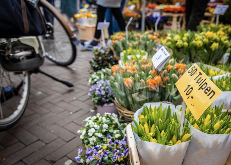tulips displayed at an outdoor flower market