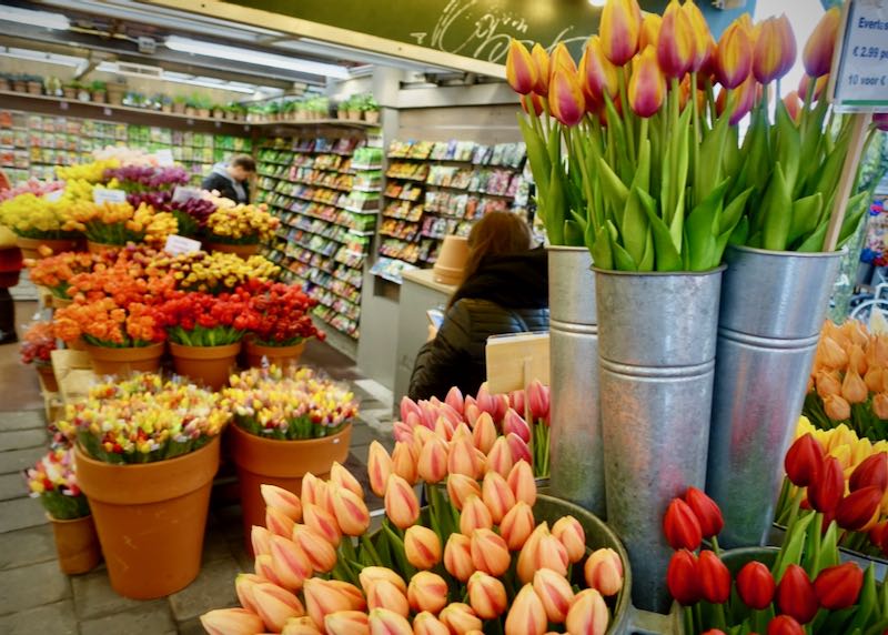 Tulips on display for purchase at a flower markt