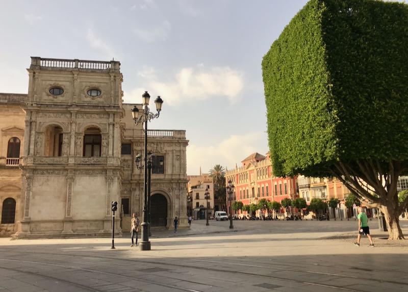 Plaza Nueva features landscaped topiary.