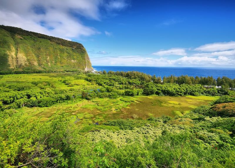 Waipo Valley along the Hamakua Coast on the Big Island, Hawaii