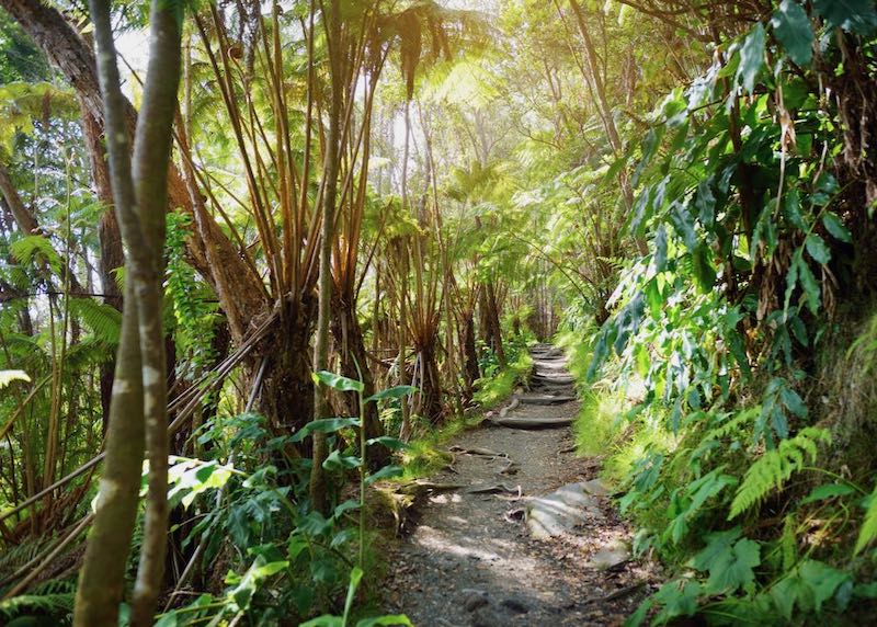 Kilauea Iki Trail in Volcanoes National Park in the Kau district of the Big Island, Hawaii