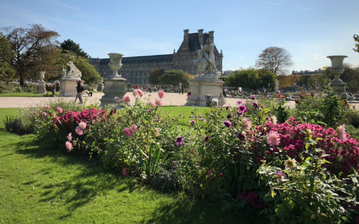 Flowers at the Tuileries garden in Paris