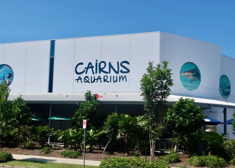 Cairns Aquarium is close by.