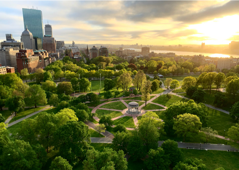 Overlooking the Boston Common in Downtown