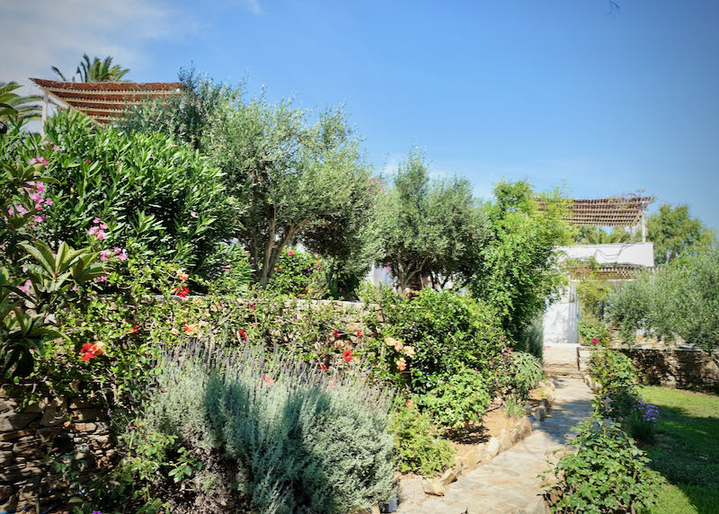 Crushed gravel path meandering through Mediterranean-style gardens