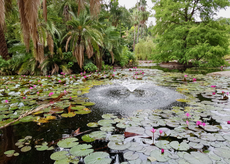 City Botanic Gardens are close by.