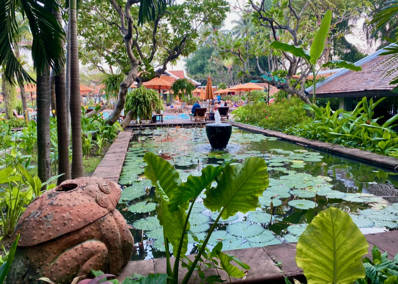Hotel garden and pond