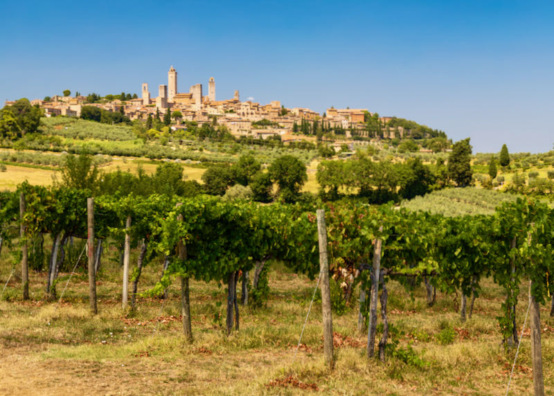 Wine tours in Florence and Tuscany.
