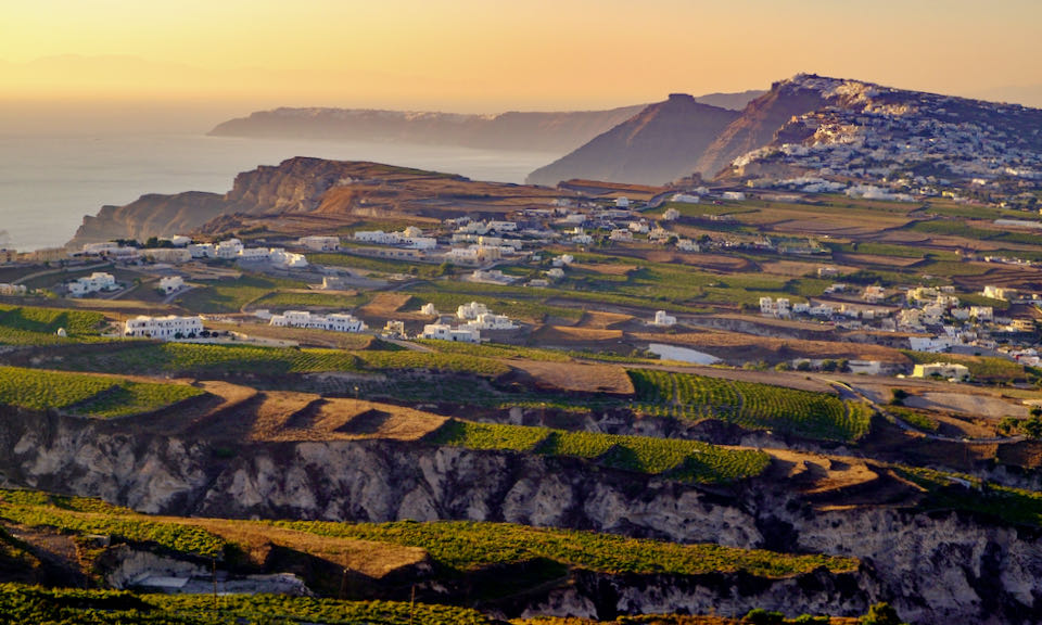 View of Santorini Wineries and the caldera.