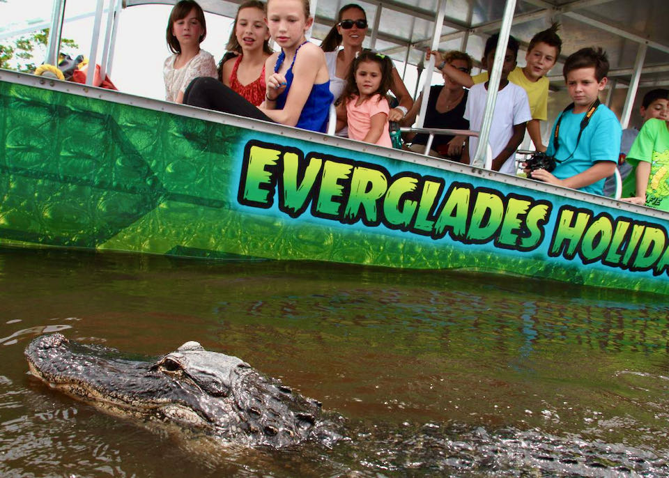 Children in a tour boar look down at an alligator in the swampy water below.