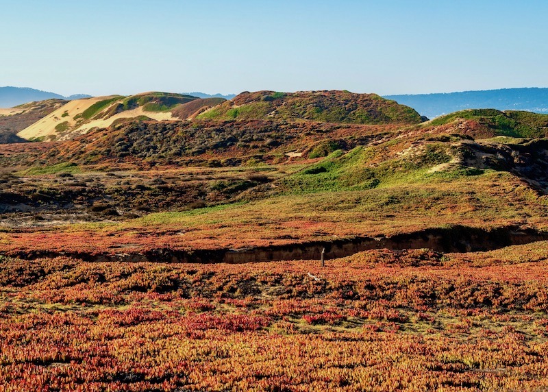 Fort Ord Dunes State Park at the north end of Sand City, Monterey