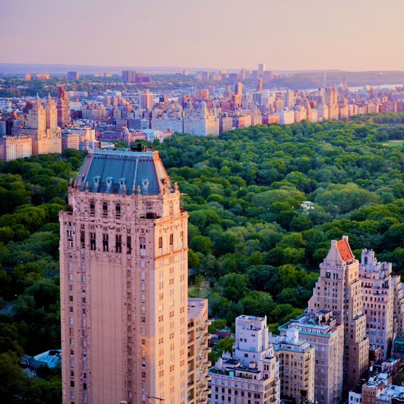 View of Central Park from New York Hotel.