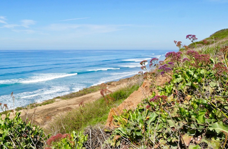 Ocean view from the coast in Del Mar, San Diego