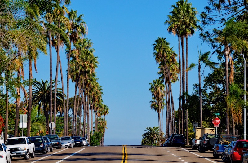 A palm tree lined street in Hillcrest, San Diego