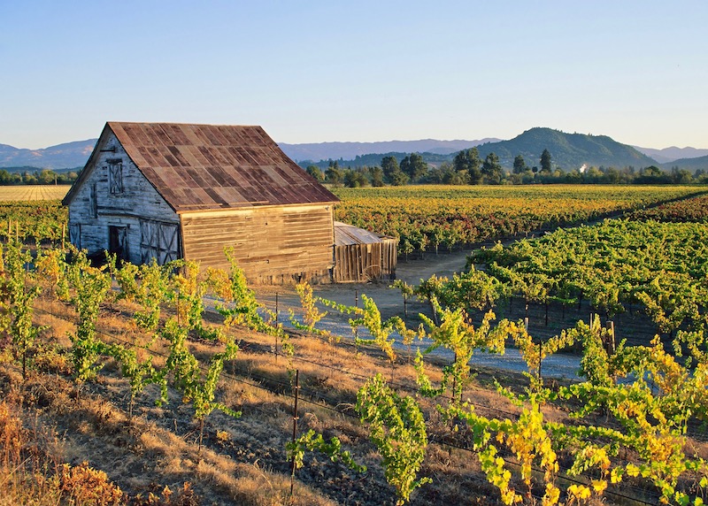 A farmhouse surrounded by the vineyards of Dry Creek Valley in Healdsburg near the Russian River Valley