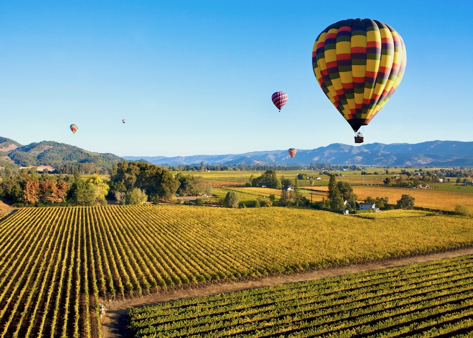 Hot air balloons above the vineyards of Napa Valley, California