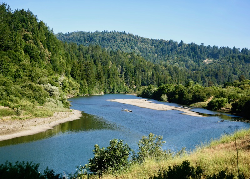 Forest and river in the Russian River Valley of California's Wine Country