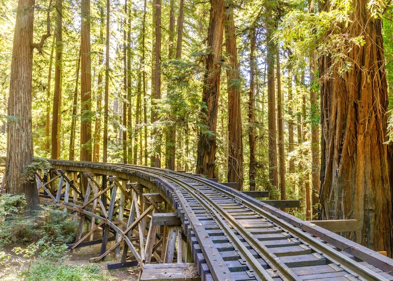 Railroad and trestle bridge through a redwood forest in Felton in the San Lorenzo Valley, California