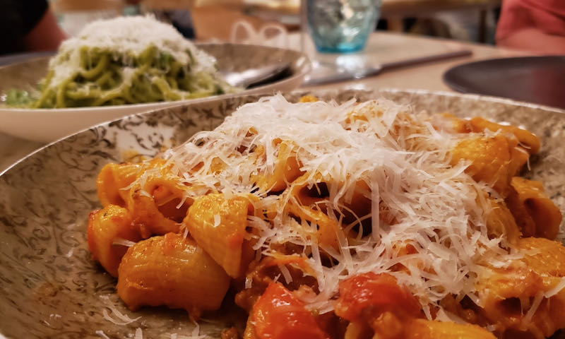 a plate of rigatoni pasta with red sauce, covered with grated parmesan cheese