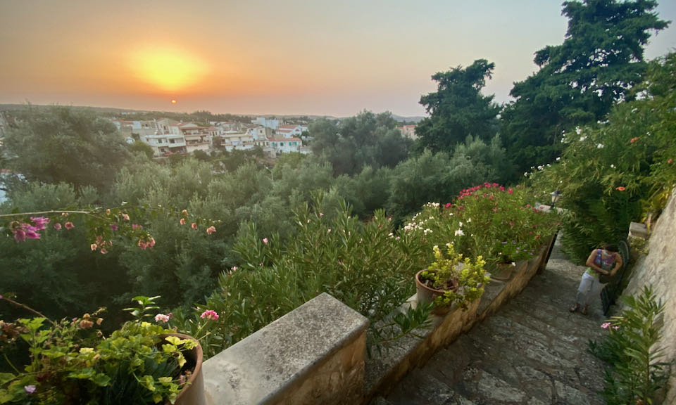 View down a stone stairway and over a grove of olive trees at sunset.