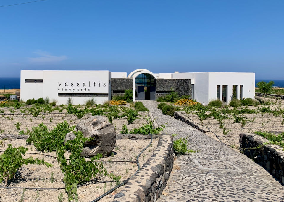 A long cobbled path leads through vineyards to a white, boxy building.
