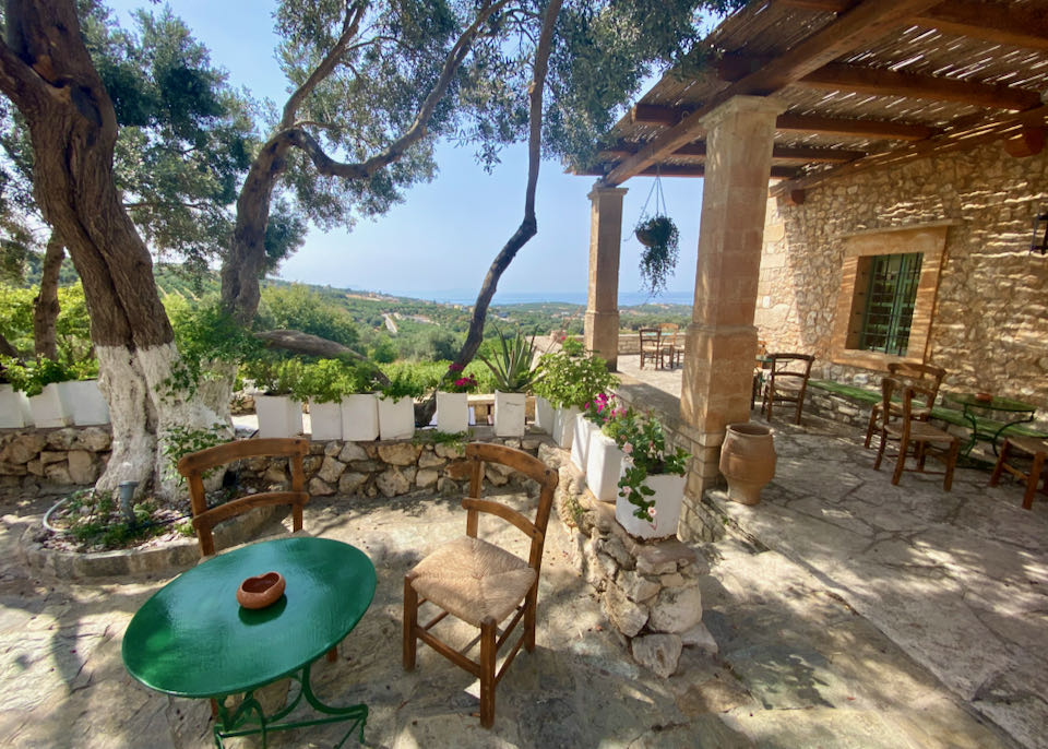 Stone patio overlooking an olive grove.