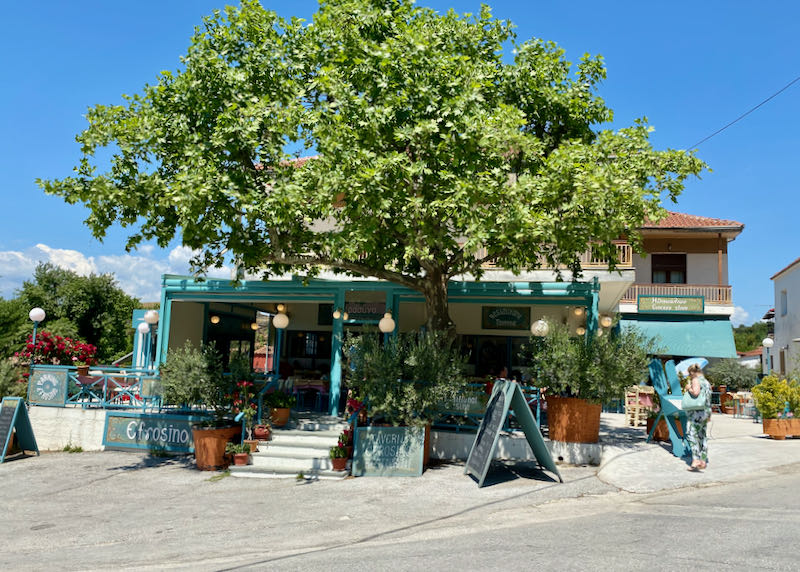 Brightly-painted restaurant with outdoor seating under a large plane tree