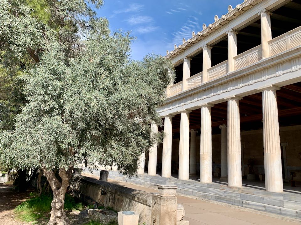 A long building lined with pillars, with an olive tree in front.