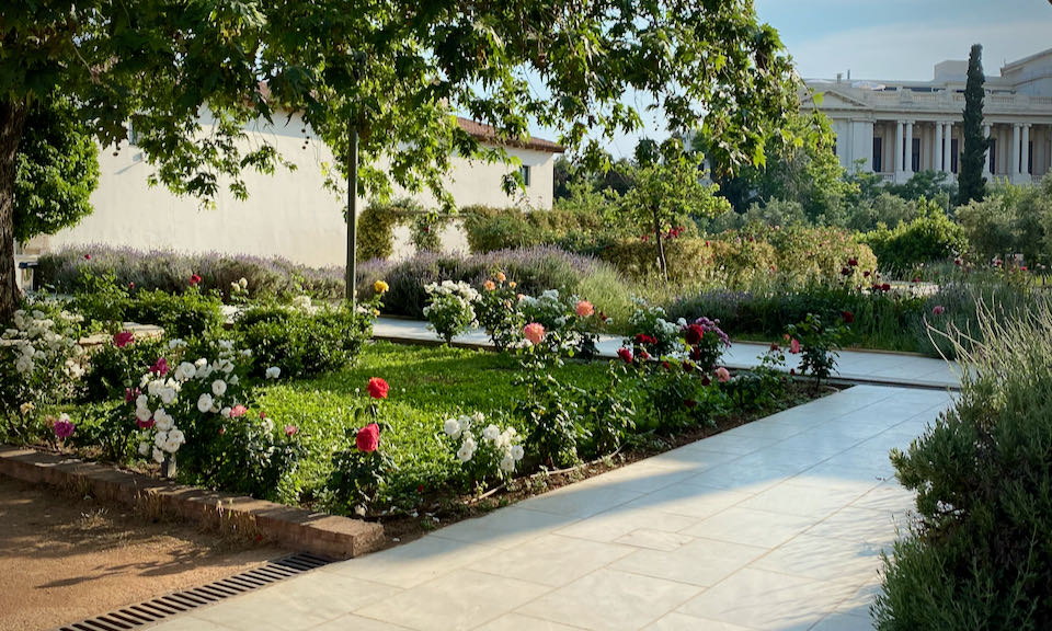 Courtyard with a rose garden, looking out to a stately white pillared building