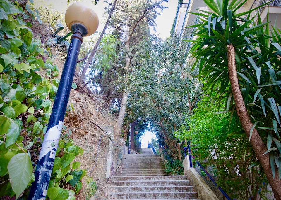 Urban staircase surrounded by vegetation
