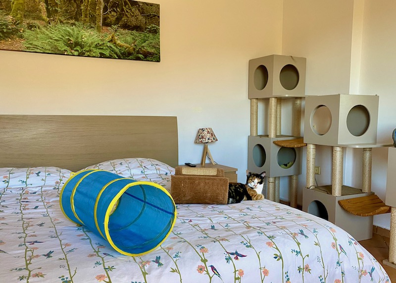A bedroom at Let's Be SMART cat shelter on the Athens Riviera